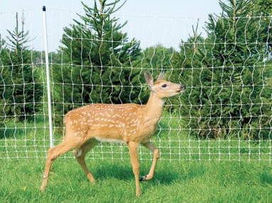 Sklolaminátové plotové stĺpiky na odstrašenie divej zveri v poliach: Robustná podpora plotu pre jelene a bariéry pre divú zver